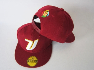 V Snapback Hats Flat Brim 12841