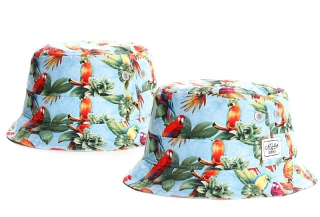 Cayler & Sons Bucket Hats 24384