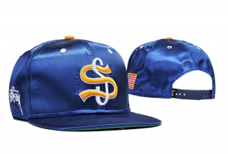 Stussy Snapback Hats 25432