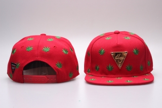 HATER Snapback Hats 31664