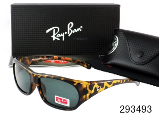 Ray Ban Sunglasses AAA Plastic Frame 38152