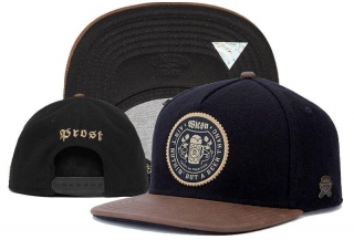 Cayler & Sons Snapback Hats 56278