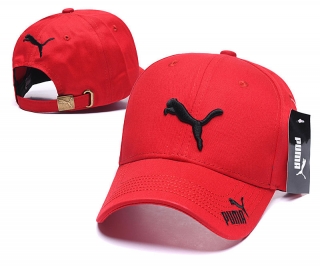 Puma Curved Brim Snapback Cap 60053