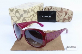 COACH AAA Sunglasses 65511