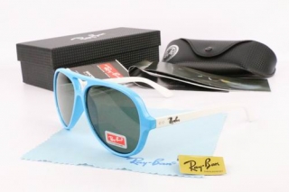 Ray Ban AAA Sunglasses 67010