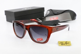 Ray Ban AAA Sunglasses 67055