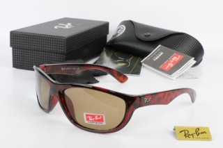 Ray Ban AAA Sunglasses 67378