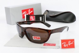 Ray Ban Sunglasses 70098