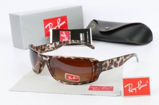Ray Ban Sunglasses 70100