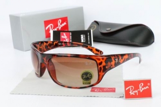 Ray Ban Sunglasses 70102