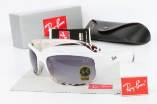 Ray Ban Sunglasses 70104