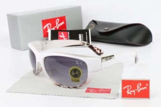 Ray Ban Sunglasses 70117