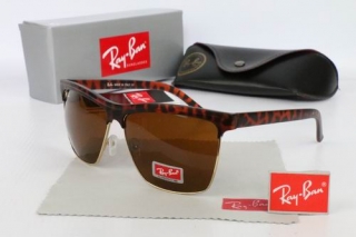 Ray Ban Sunglasses 70169