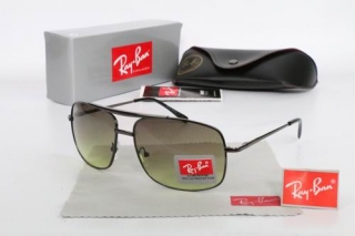 Ray Ban Sunglasses 70193