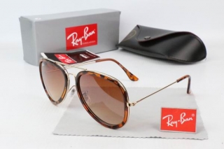 Ray Ban Sunglasses 70245