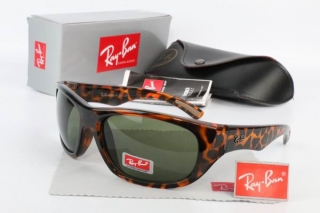 Ray Ban Sunglasses 70437
