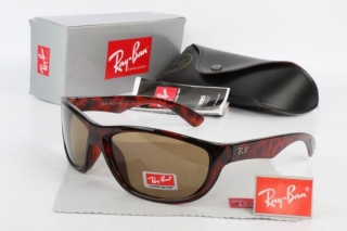 Ray Ban Sunglasses 70439