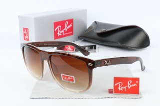Ray Ban Sunglasses 70497