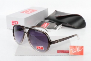 Ray Ban Sunglasses 70531