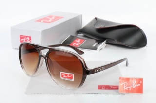 Ray Ban Sunglasses 70533