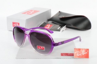 Ray Ban Sunglasses 70536