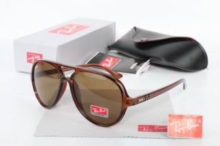 Ray Ban Sunglasses 70546
