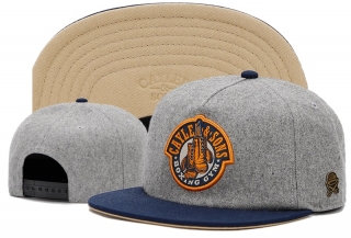Cayler & Sons Snapback Hats 72543