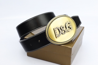D&G AAA Belts 77749