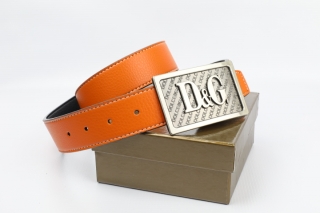 D&G AAA Belts 77993