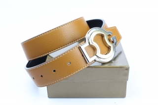D&G AAA Belts 78043