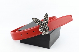 Dandy AAA Belts 78292