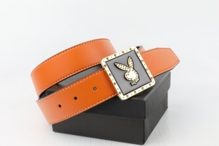 Dandy AAA Belts 78299