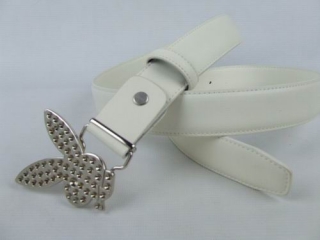 Other AAA Belts 88742