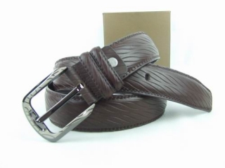 Other AAA Belts 88746