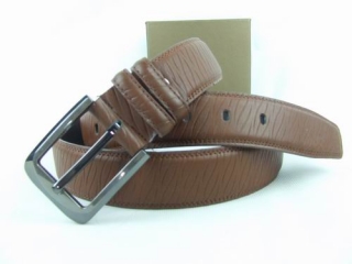 Other AAA Belts 88749