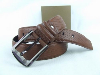 Other AAA Belts 88758