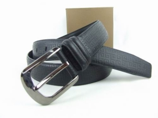 Other AAA Belts 88764