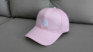 The North Face Curved Snapback Hats 111372