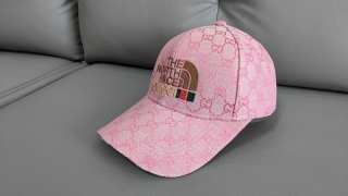 The North Face Curved Snapback Hats 111376