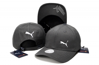 Puma High Quality Curved Strapback Hats 111386
