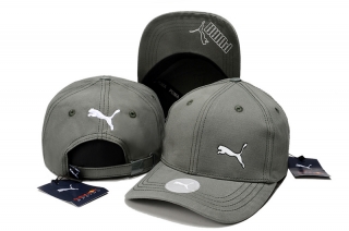 Puma High Quality Curved Strapback Hats 111387