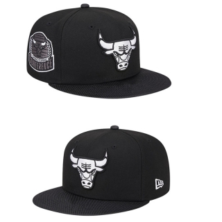 Chicago Bulls NBA Snapback Hats 120531