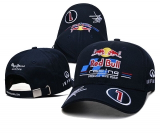 Red Bull Curved Adjustable Hats 121524