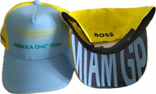 Aston Martin Formula One Team Curved Adjustable Hats 122415