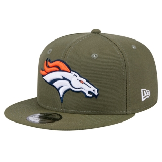Denver Broncos NFL Snapback Hats 122655