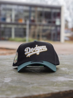 Los Angeles Dodgers MLB Curved Adjustable Hats 125325