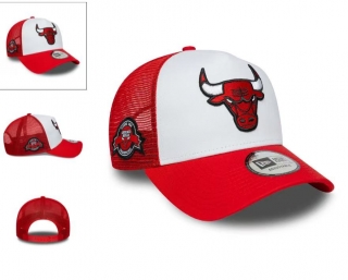 Chicago Bulls MLB Curved Mesh Adjustable Hats 125603