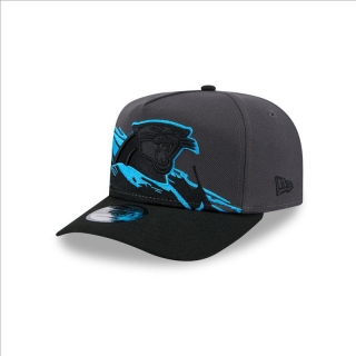 Carolina Panthers NFL Curved Adjustable Hats 125833