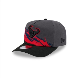 Houston Texans NFL Curved Adjustable Hats 125848