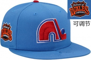 Quebec Nordiques NHL 9FIFTY Snapback Hats 126095